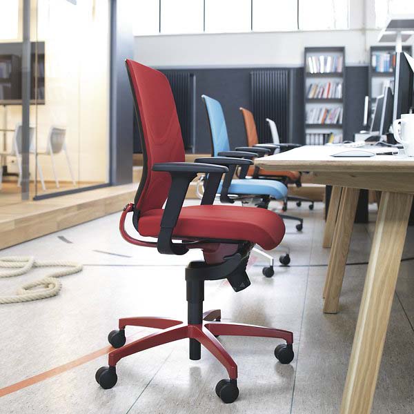 Cómo Elegir la Mejor Silla Ergonómica para la Espalda: Guía Completa con Sello AGR y Marcas Recomendadas